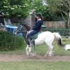 reggie-flatwork-5-