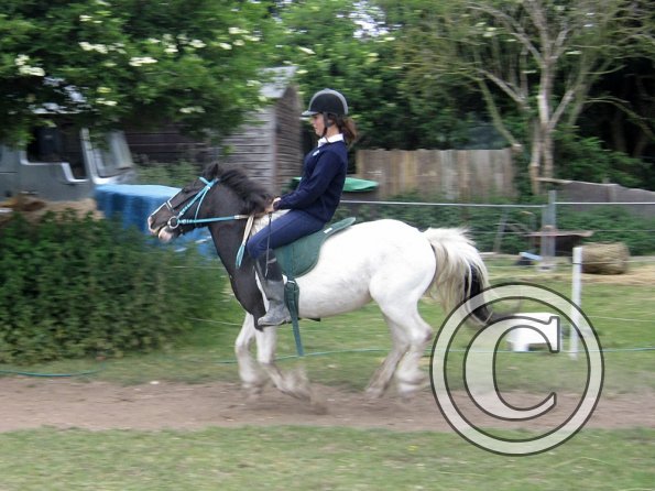 reggie-flatwork-5-