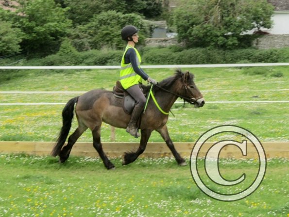 Julia and Appley (2)