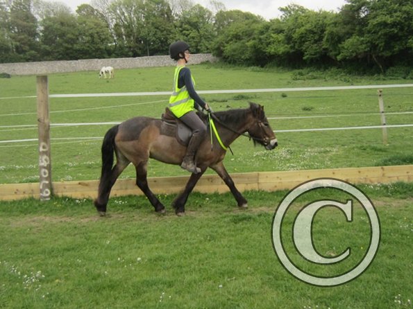 Julia and Appley (5)