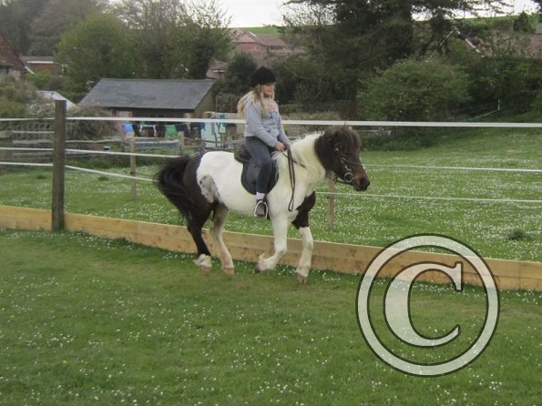 Ngaire and Tilly (2)