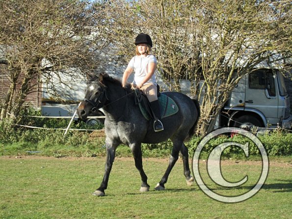 x Dixie and Alice (2)