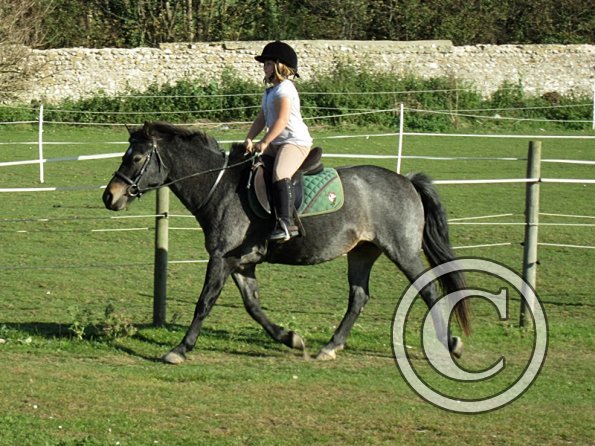 x Dixie and Alice (3)