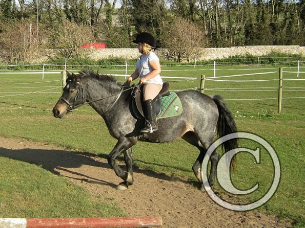 x Dixie and Alice (4)