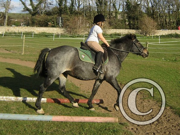 x Dixie and Alice (5)