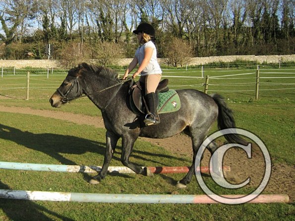 x Dixie and Alice (6)