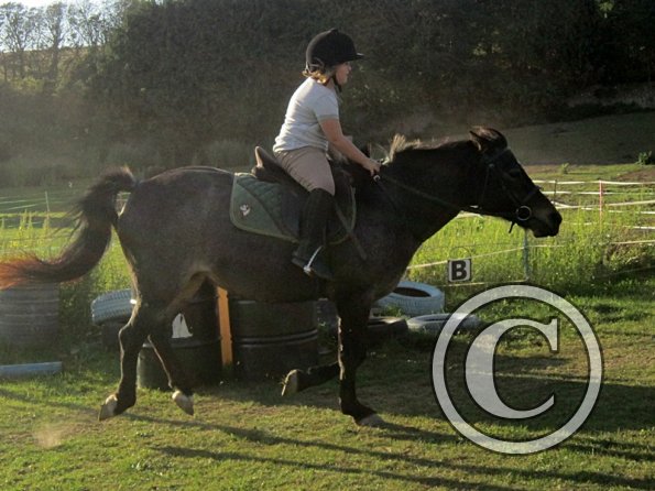 x Dixie and Alice (7)