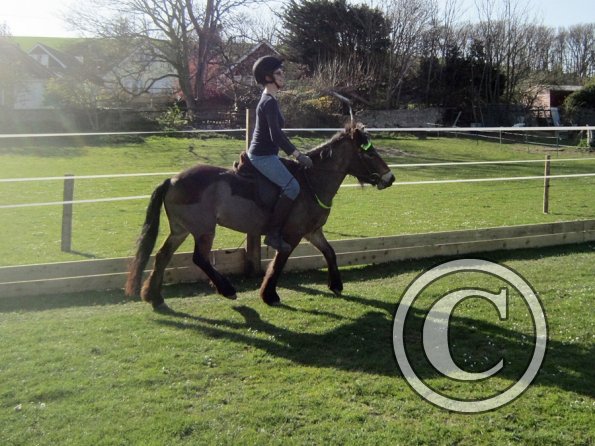 Julia and Appley (5)