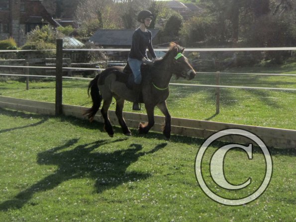 Julia and Appley (6)