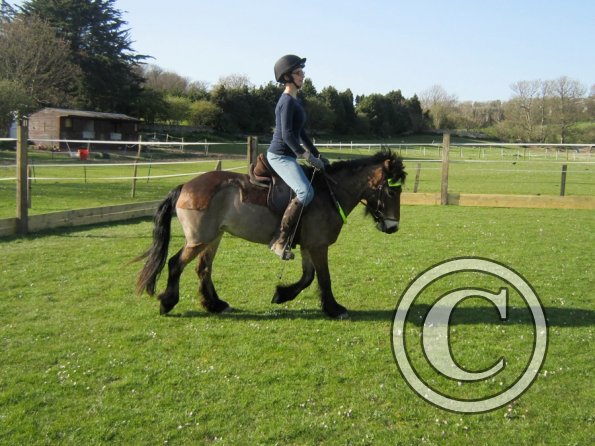 Julia and Appley (7)