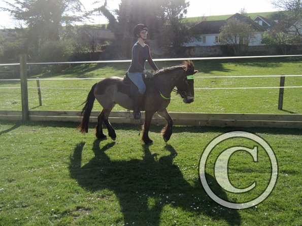 Julia and Appley (8)