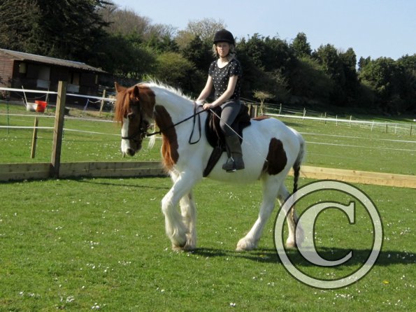 Lily and Breeze (10)