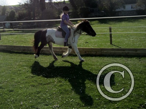 Ngaire and tilly (2)