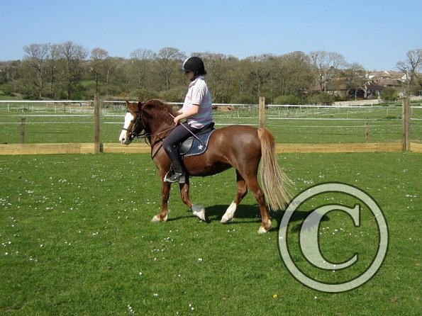 Roma and Spillie (2)