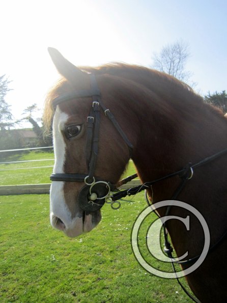 Roma and Spillie (3)