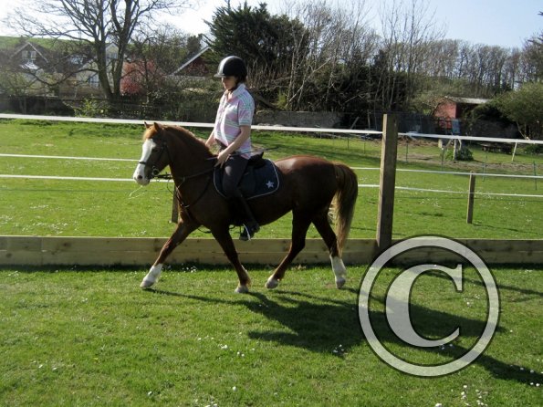 Roma and Spillie (5)