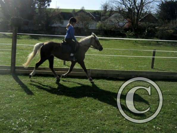 Veryan and Purdy (2)