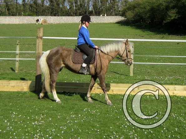 Veryan and Purdy (3)