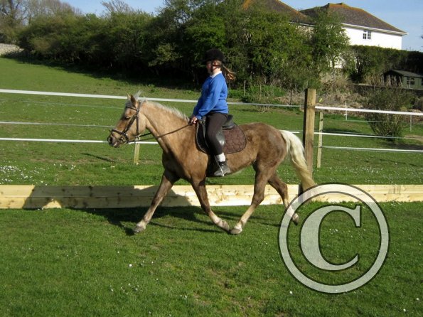 Veryan and Purdy (5)