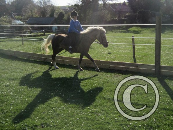 Veryan and Purdy (6)