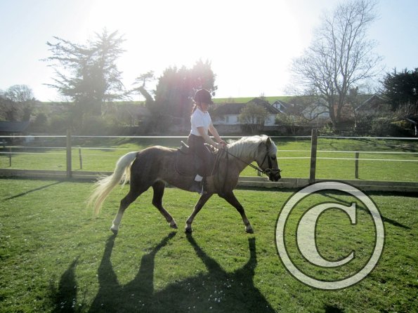 Veryan and Purdy (7)