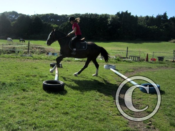 Daisy and Jessica Stink (2)