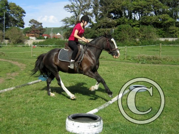 Daisy and Jessica Stink (3)