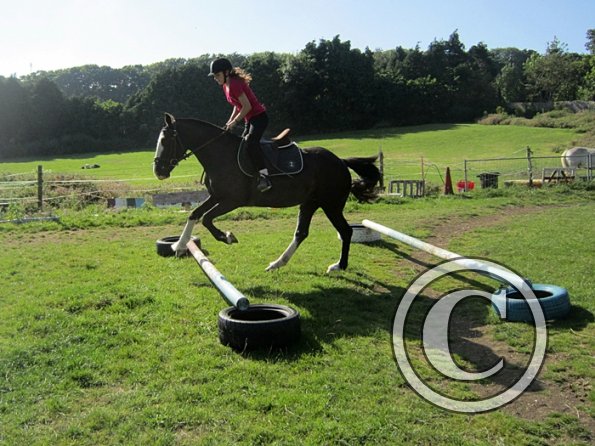 Daisy and Jessica Stink (4)