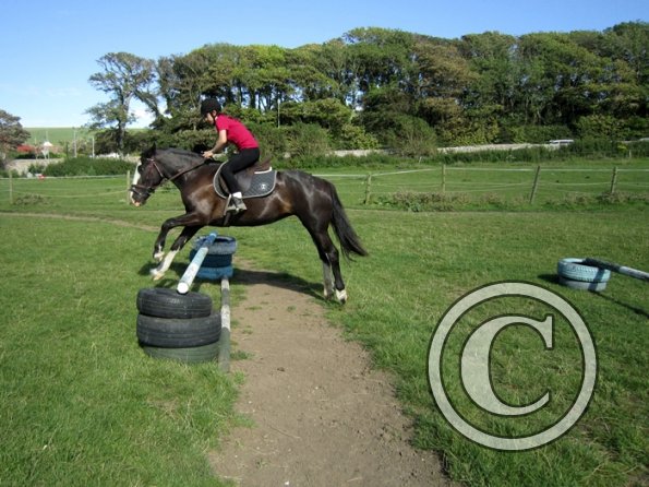 Daisy and Jessica Stink (5)