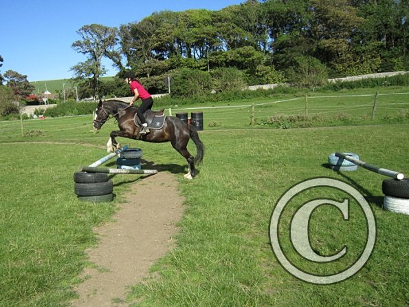 Daisy and Jessica Stink (6)