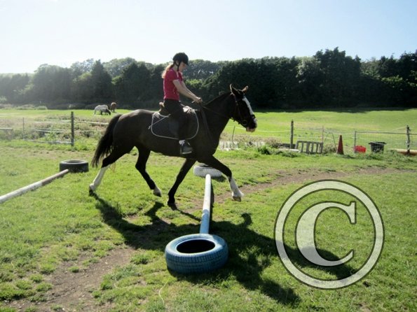 Daisy and Jessica Stink