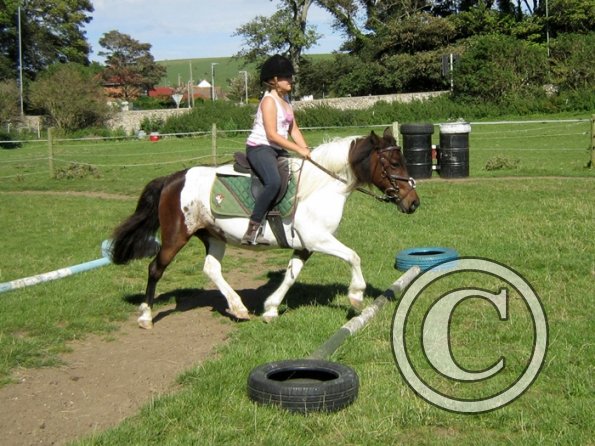 Ngaire and  Tilly (2)