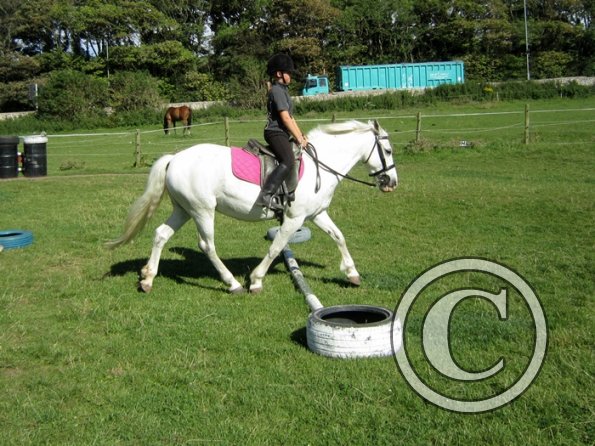 Veryan and Angel (2)