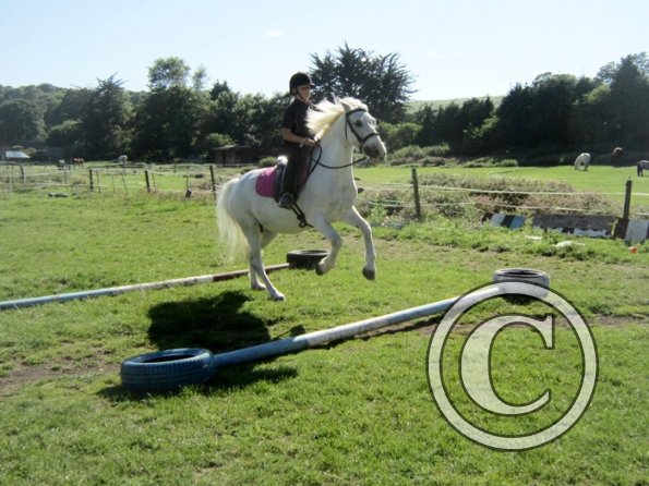 Veryan and Angel (3)