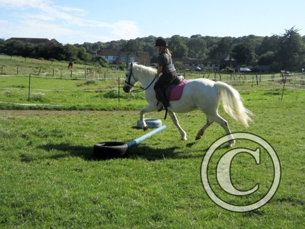 Veryan and Angel (4)