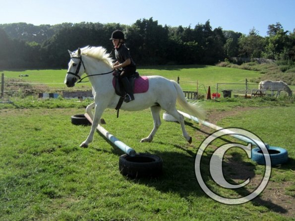 Veryan and Angel (5)