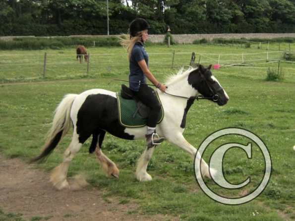 Libby and Willow (5)