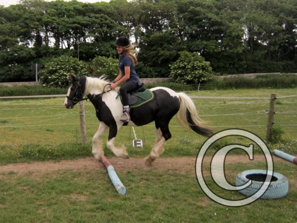 Libby and Willow (8)