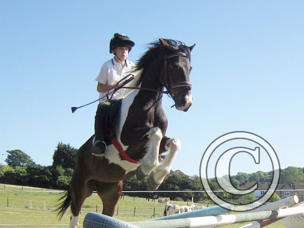 jumping-for-the-moon