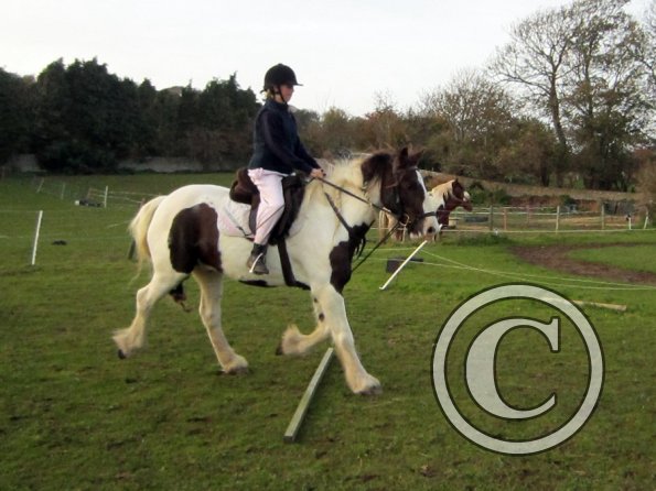 lily-h-and-lance-11-