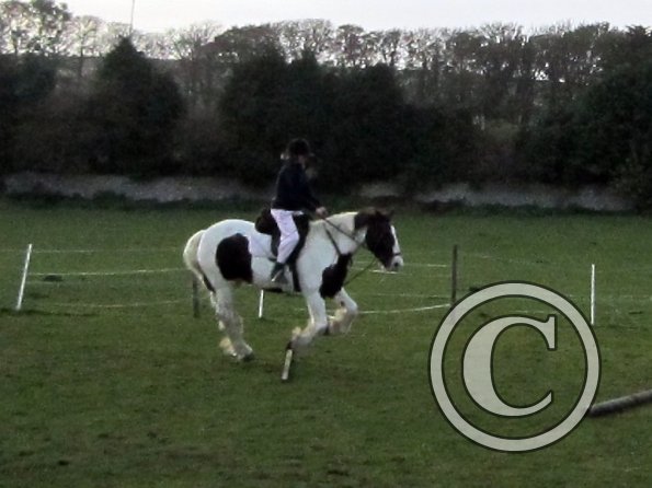 lily-h-and-lance-15-