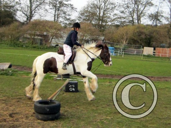 lily-h-and-lance-16-