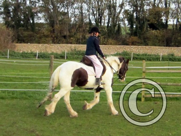 lily-h-and-lance-17-