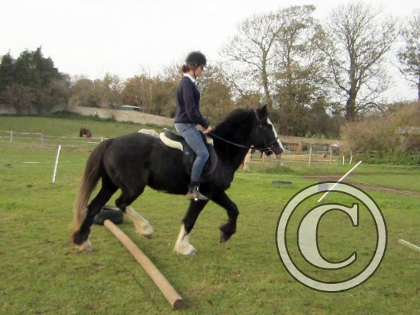 louise-and-jessie-12-