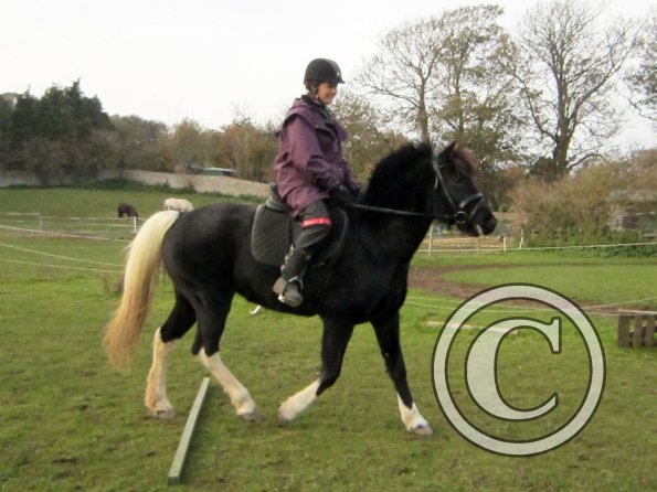 shaz-and-cheyenne-6-