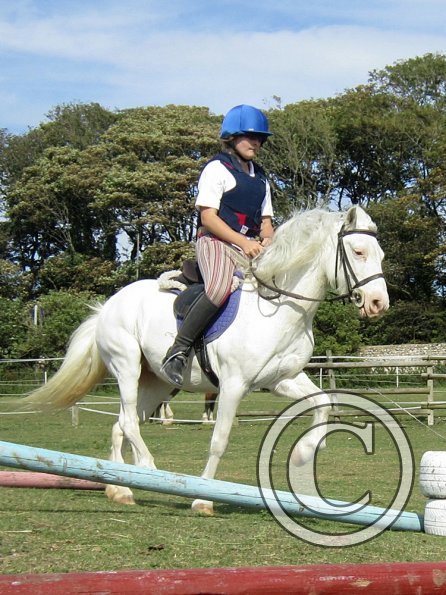 Moo super showjumper (12)