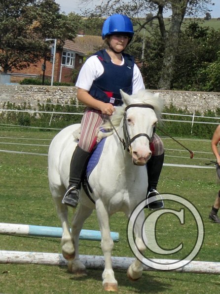 Moo super showjumper (2)