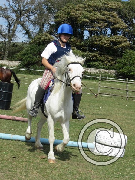 Moo super showjumper (3)