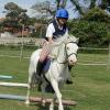 Moo super showjumper (4)