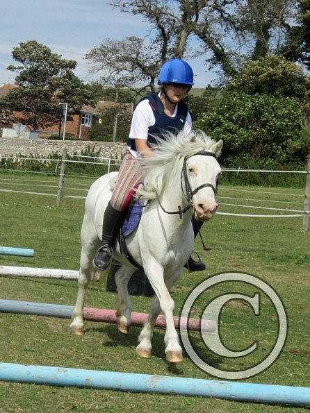 Moo super showjumper (4)